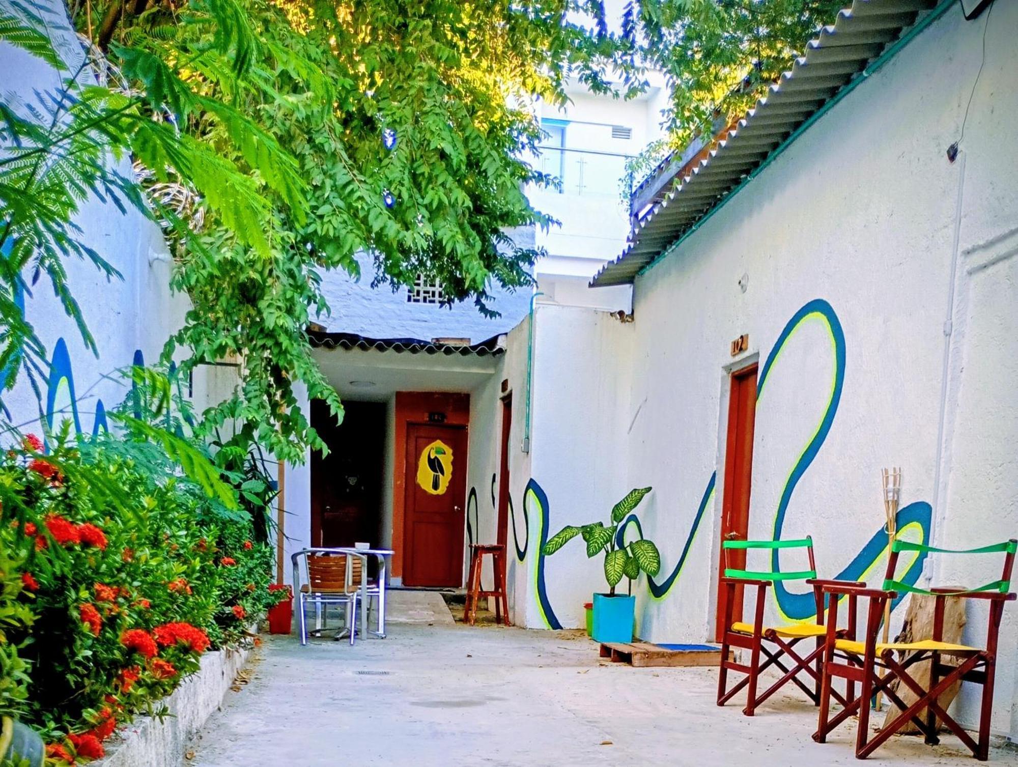 Fauna, Santa Marta